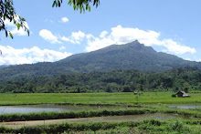 Sesean Mountain, Tana Toraja