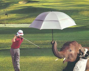 [elephant_golf.jpg]