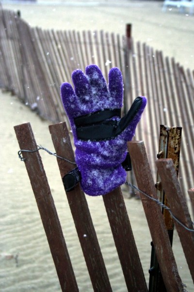 [zenmatt_snowflake_glove.jpg]