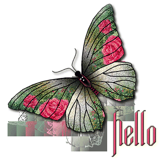 [butterfly-hello-RAM.gif]