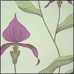 [orchid+wallpaper.jpg]