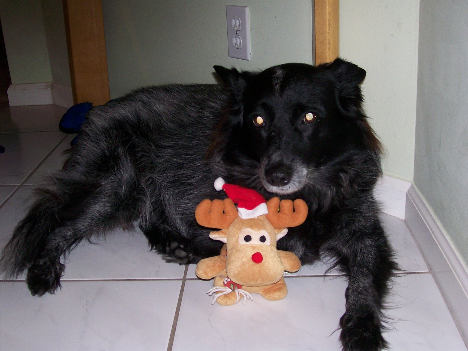 [lady+with+holiday+toy.jpg]