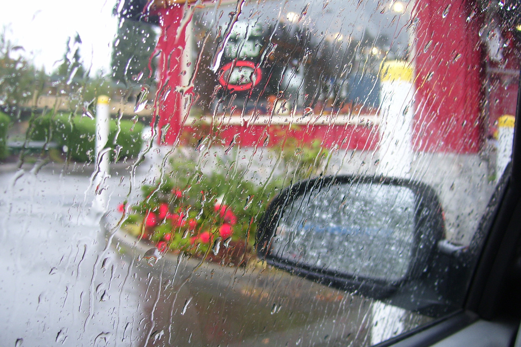 [Flowers&Rain.jpg]