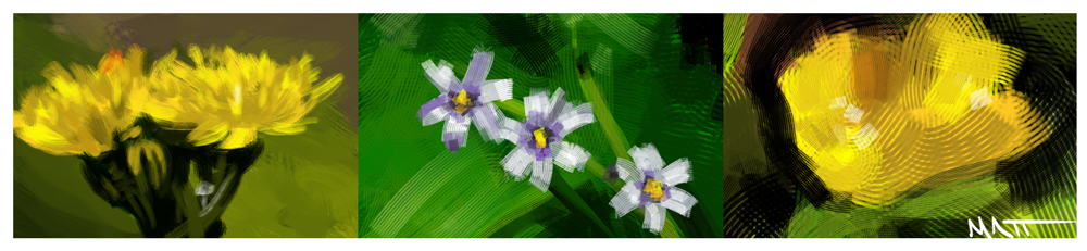 [2008-02-04-speedys-flowers.jpg]