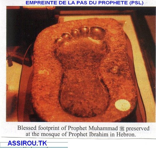 [Prophets+footprint2.jpg]