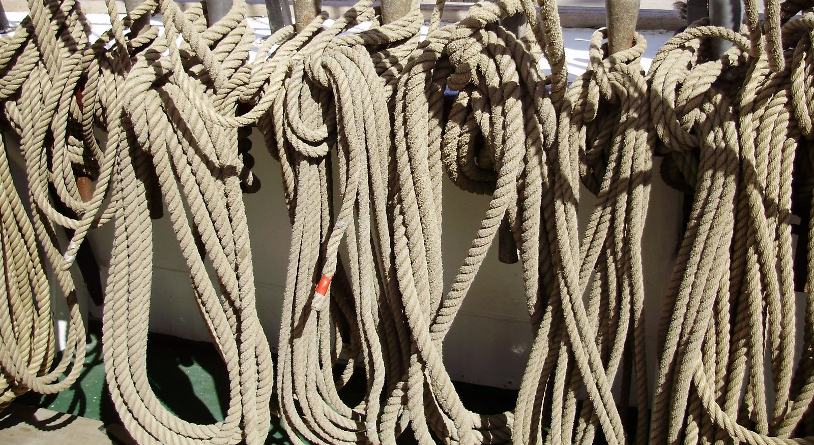 [ropes.JPG]