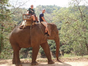 [Elephant-riding.jpg]