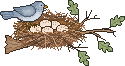 [bird+in+nest.gif]