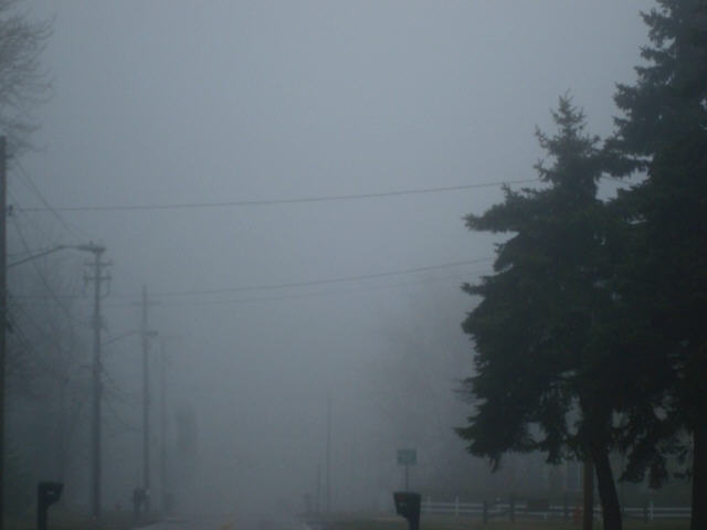 [fog4062.JPG]
