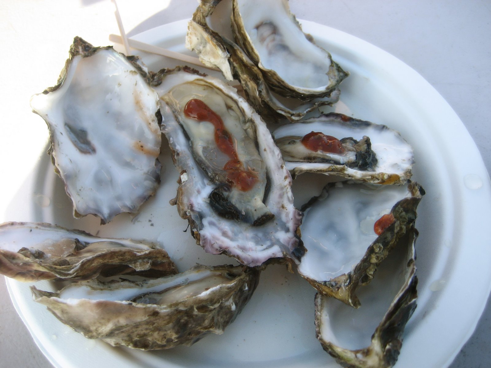 [oysters.jpg]