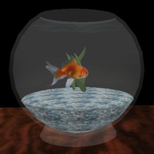 [fishbowl1.jpg]