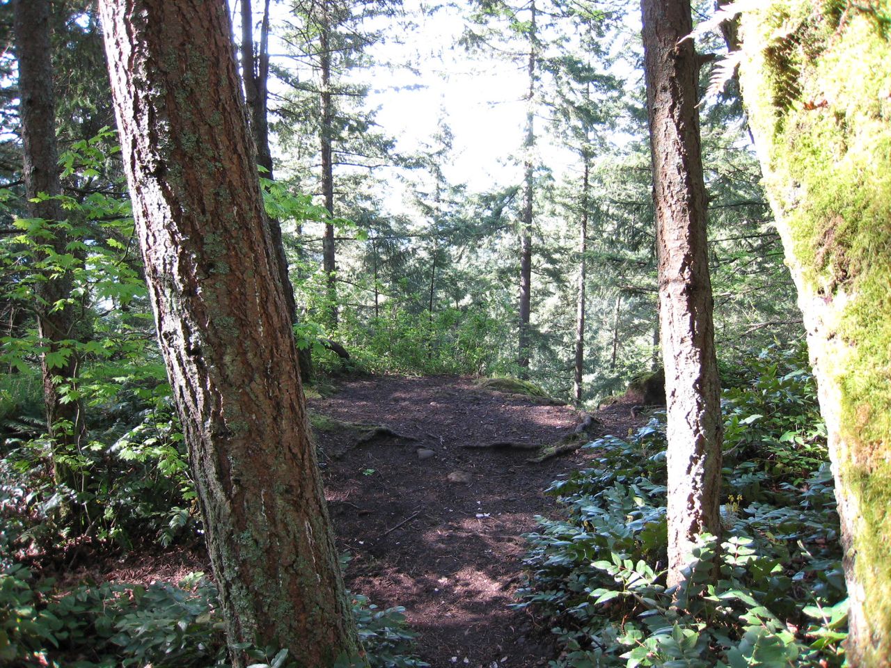 [Wilderness+Creek+Hike+May2008+16.jpg]