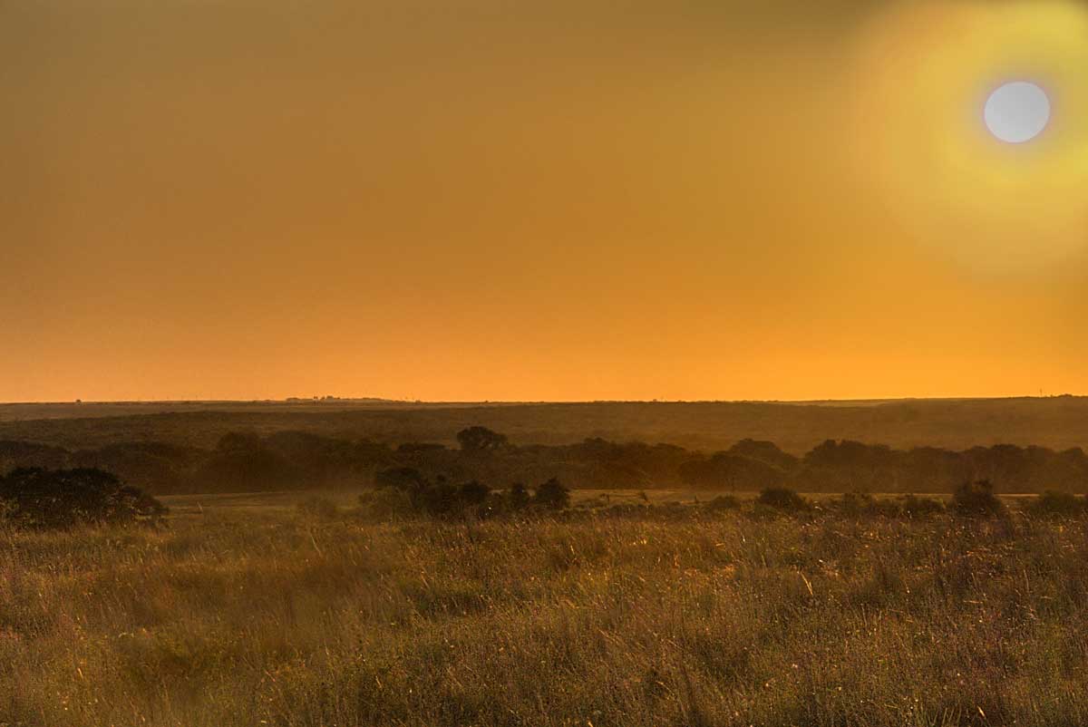 [Texas+sunrise.jpg]
