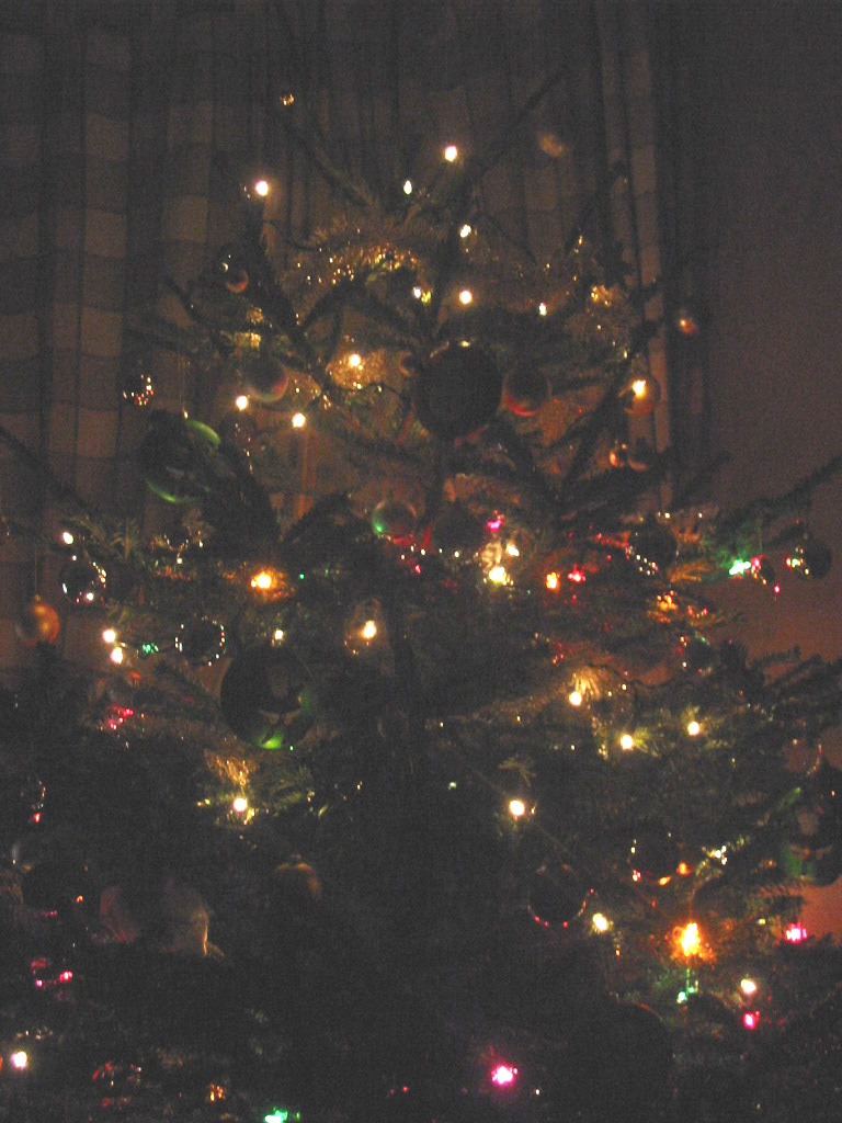 [Christmas+tree+with+lights.jpg]