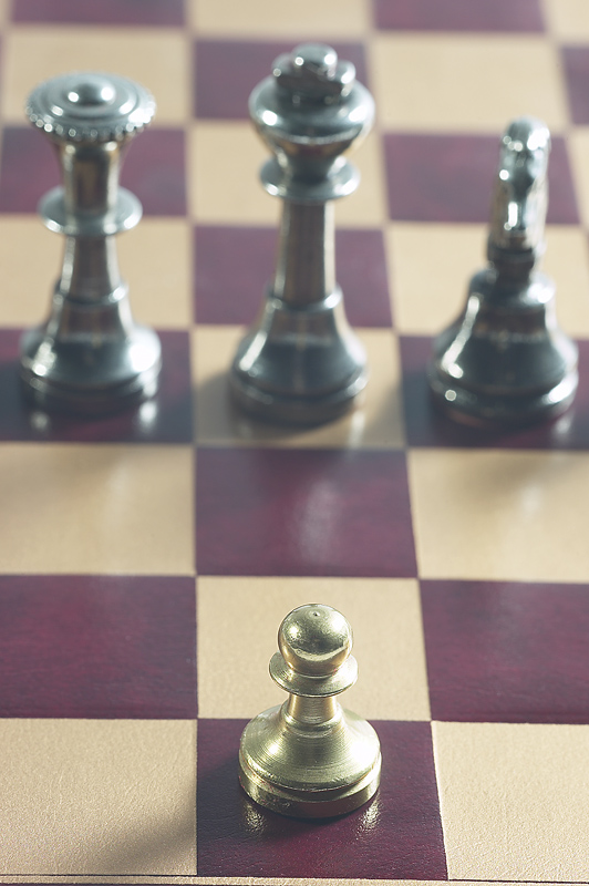 [chess+pawn.jpg]