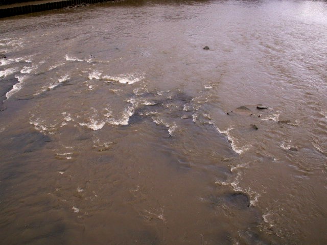 [Ribble+silts+washing+downstream,+low+tide+broadgate+and+penwortham.jpg]