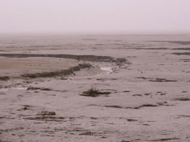[Southport+mudflats+disappear+into+the+mist.jpg]