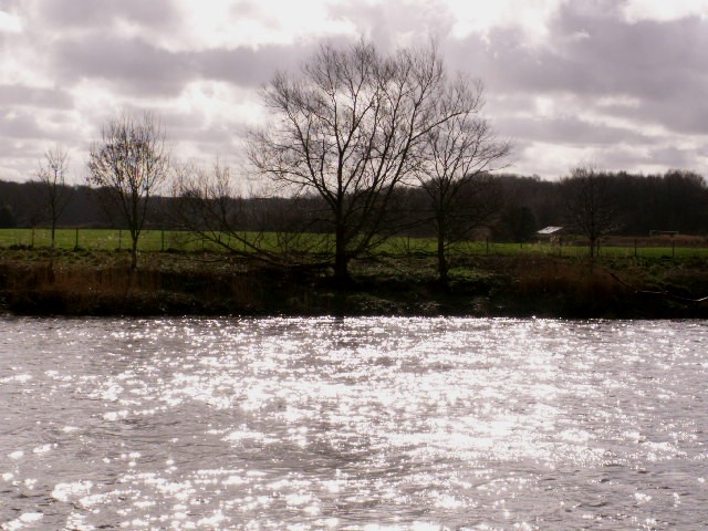 [early+March+07,+view+from+Avenham+Park+to+Penwortham+at+high+tide.jpg]