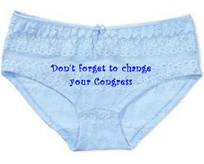 [congress+panties.jpg]