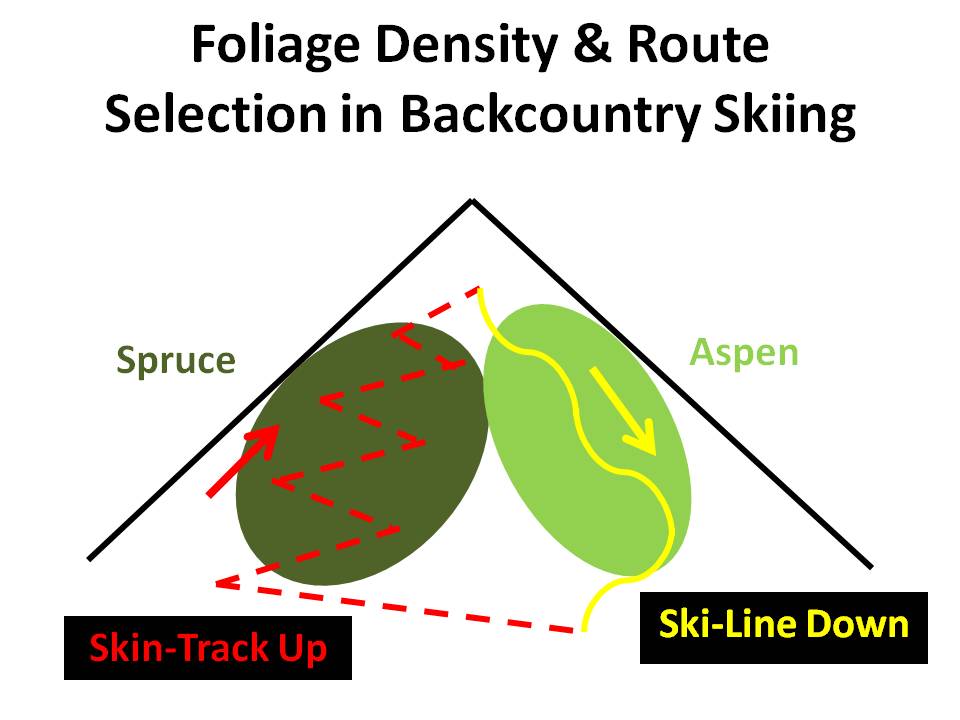 [BC+Ski+Route+Selection.jpg]