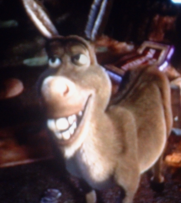 [Character_of_the_donkey_from_Shrek_2.JPG]