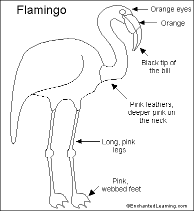 [Flamingo_bw.GIF]
