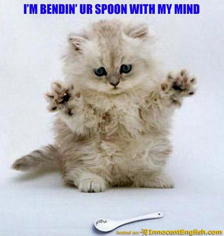 [spoon-bending-cat.jpg]