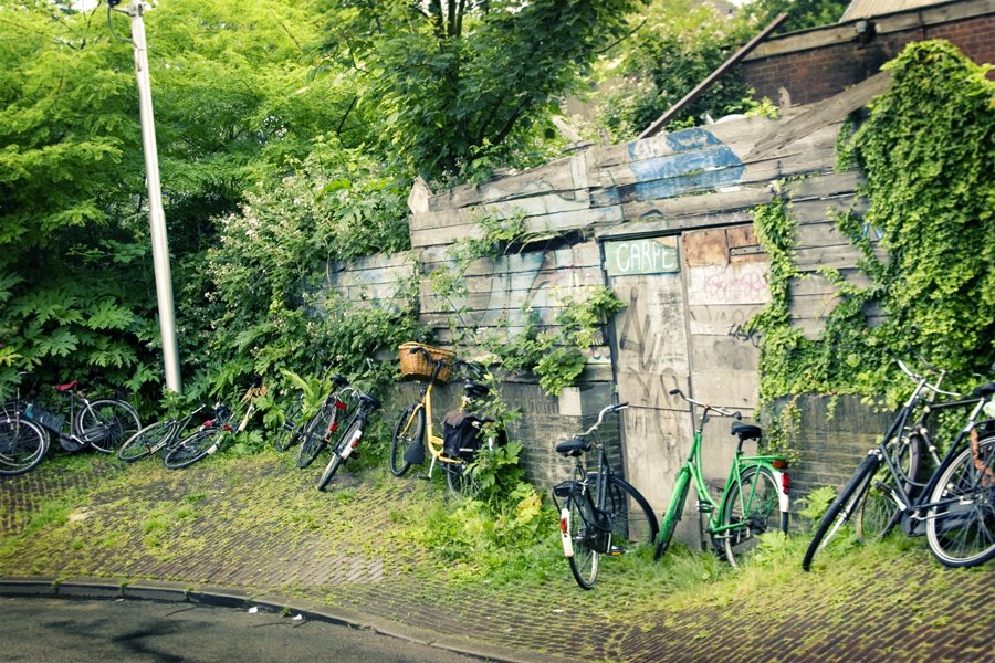 [holland_bikes.jpg]