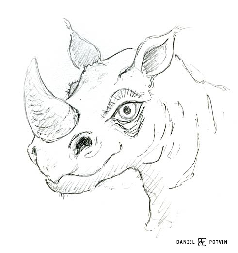 [rhino_sketch.jpg]