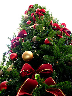 [250px-Christmas_tree_sxc_hu.jpg]