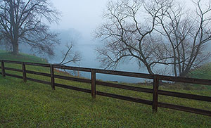 [Foggy+Morning+Pond.jpg]