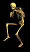 [skeleton-4.gif]
