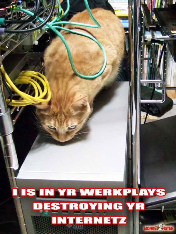 [Cat+Computer+LOL.jpg]