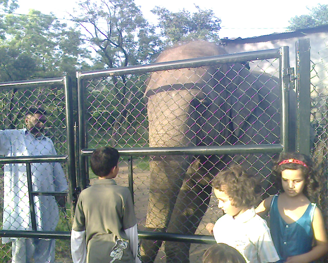 [Aina+Nawal+with+elephant.jpg]