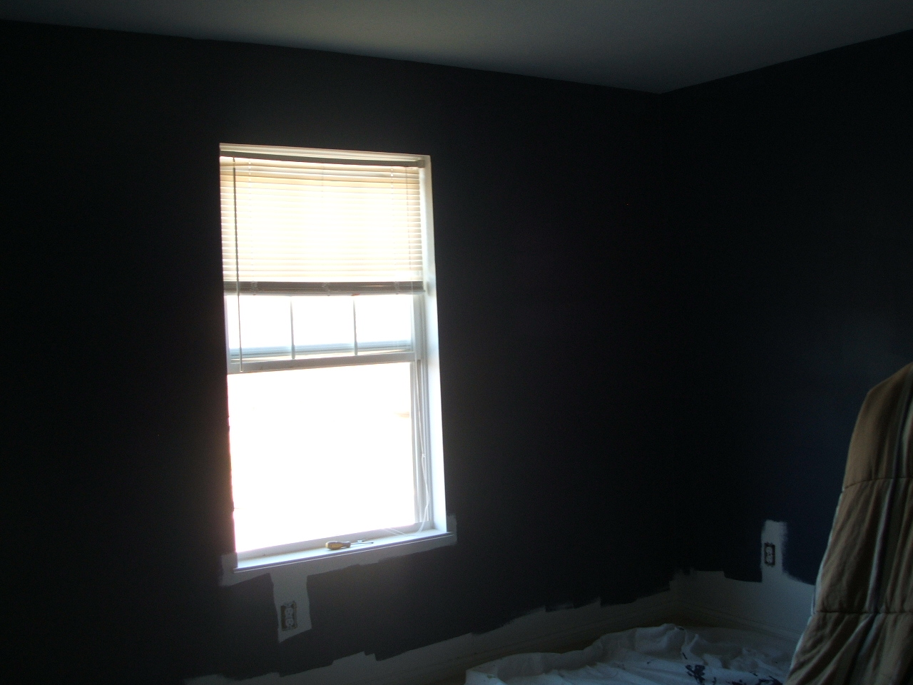 [Tayler's+painted+room+003.jpg]