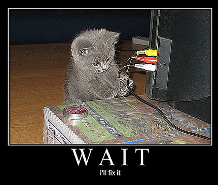 [funny-cat-engineer.jpg]