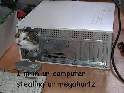 [funny_cat_pictures.jpg]