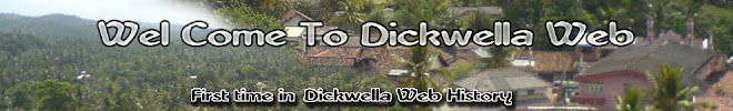 Dickwella Web