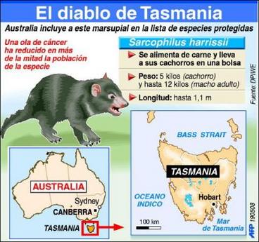 [3697444657-australia-inscribe-diablo-tasmania-animales-peligro-extincion.jpg]