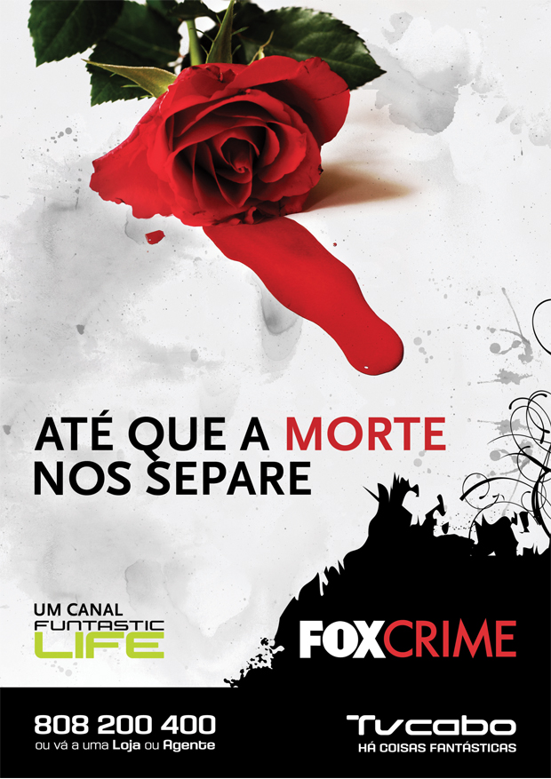 [Fox+Crime2.jpg]