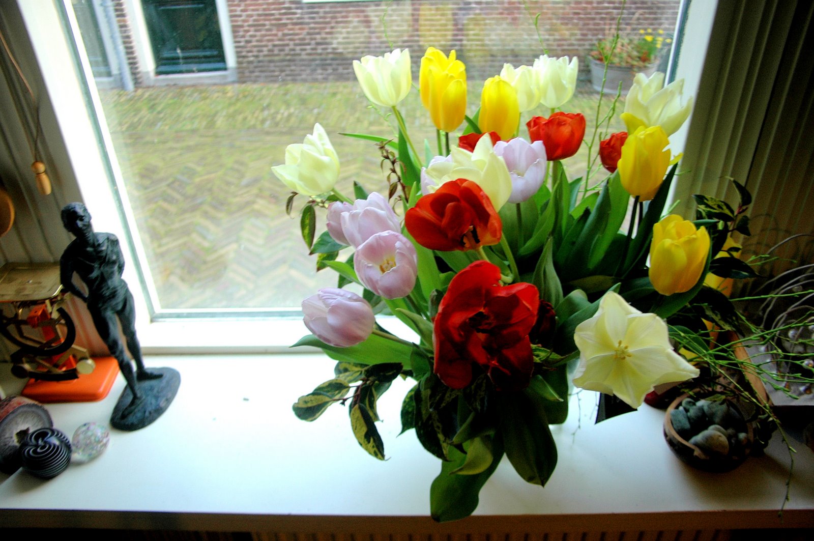 [tulips+in+the+window.jpg]