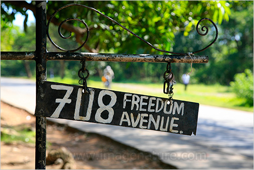 African road sign saying FREEDOM AVENUE
