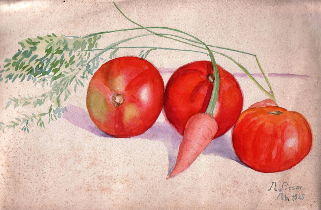 [adela+7+tomates+96+dpi.jpg]