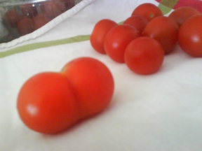[tomatinhos.jpg]