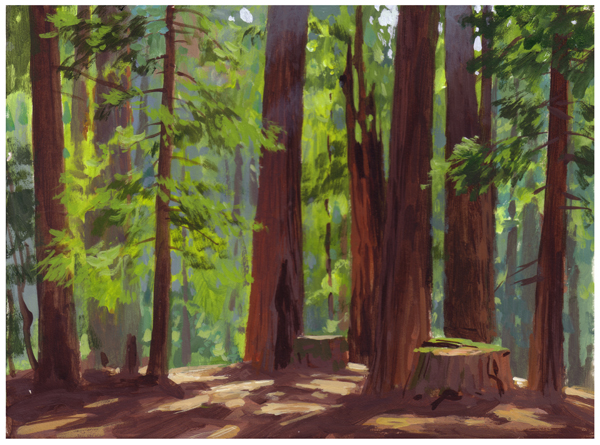 [RedwoodsLoRes.jpg]