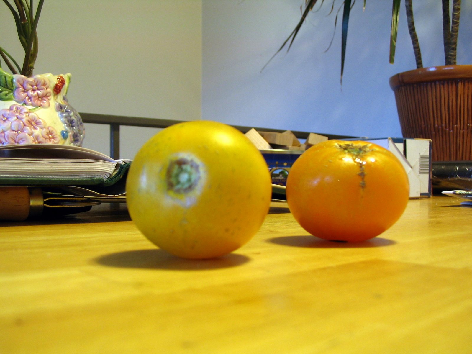 [V4A+Tomato+Lemon+Boy+08-07-22+3.JPG]