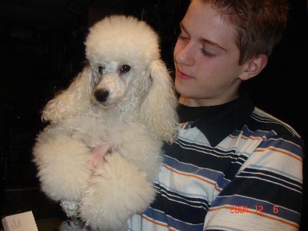 [A+boy+and+his+poodle.bmp]