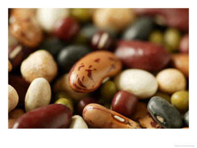 [GPMC06-00000052-001~Dried-Beans-Including-Red-Kidney-Pinto-Mung-Black-Turtle-Aduki-and-Haricot-Beans-Posters.jpg]