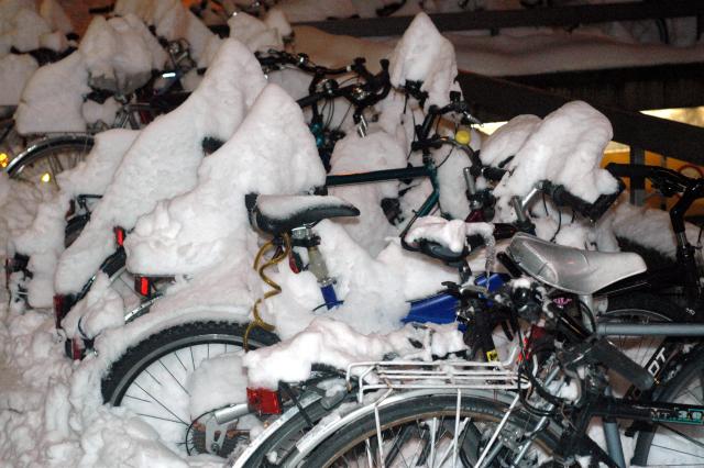 [20060305-6512+Bikes+in+Snow.jpg]