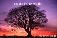 [Beauty+Within.jpg]